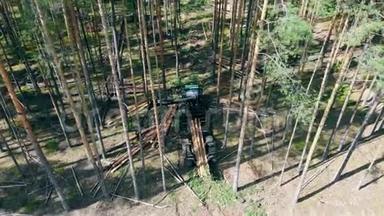 拖拉机装树干. <strong>砍伐</strong>森林和伐木概念。